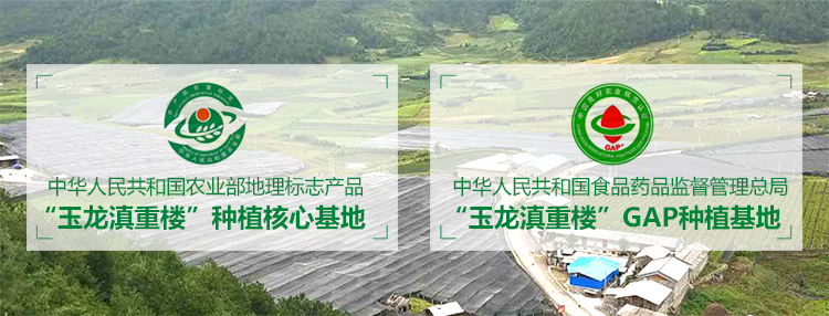 丽江云鑫绿色生物开发有限公司